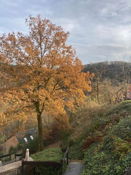 Le Lit De La Semois Apartment Vresse-sur-Semois ภายนอก รูปภาพ